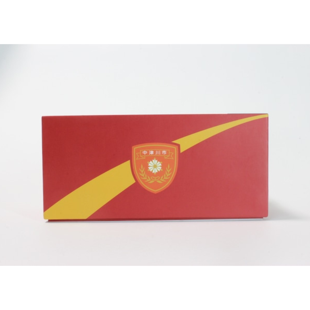 ACTCAR 1/64スケール 岐阜県中津川市消防本部 大型水槽車（ハイルーフ） 隊員フィギュア付 限定生産品250台